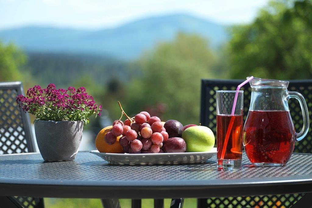 Wzgorze Poreba - W Ofercie Darmowe Ladowanie Aut Elektrycznych Bed & Breakfast 3*